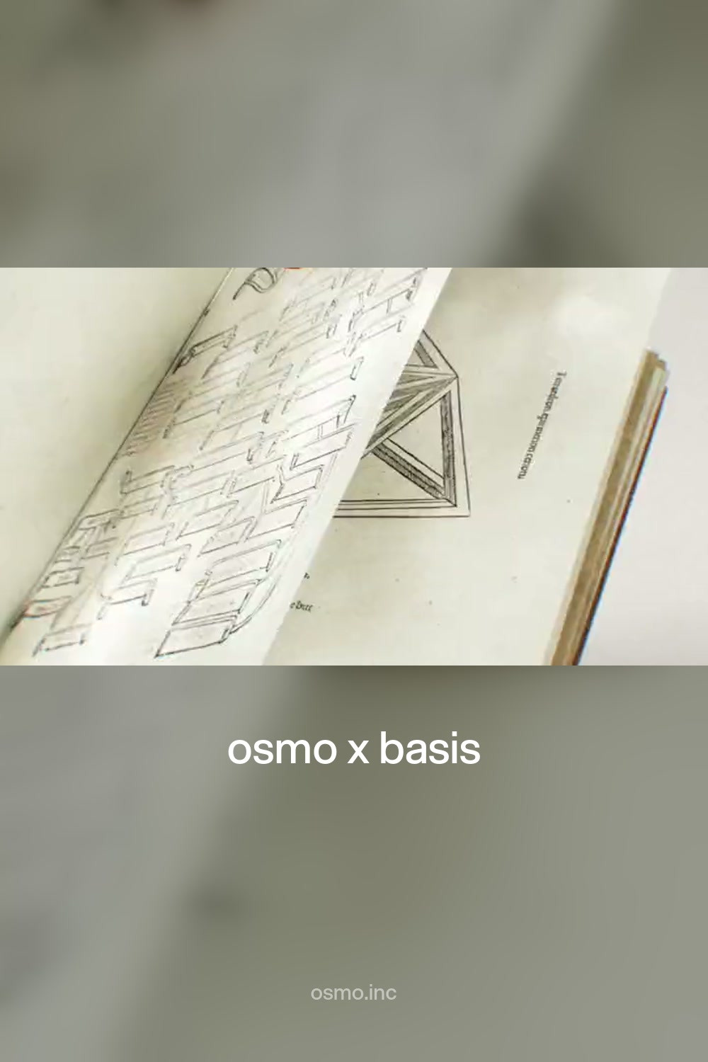 osmo x basis